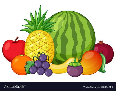 Fruit Clip Art, Grape Apple, Vegetable Pictures, Fruit Clipart, Fruit Icons, Cartoon Fruit, Fruit Cartoon, Fruits Drawing, Fruit Vector