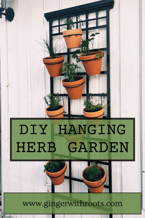 hanging herb garden DIY Diy Hanging Herb Garden, Herb Planters Outdoor, Hanging Herb Gardens, Herb Garden Wall, Garden Grid, Alfresco Decking, Outdoor Herb Garden, Wall Trellis, Hanging Herb Garden