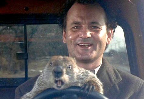 Don't drive angry. Drive Angry, Harold Ramis, Punxsutawney Phil, Happy Groundhog Day, Weather Predictions, Only In America, Big Lebowski, Bill Murray, Mercury Retrograde