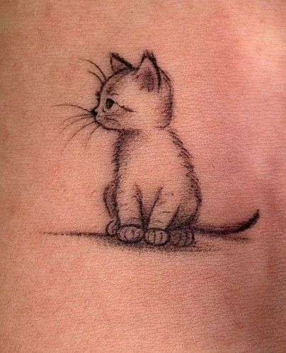 Fuzzy Cat Tattoo, Cat Reading Book Tattoo, Cherry Blossom Cat Tattoo, Cat Pumpkin Tattoo, Tabby Cat Tattoo Simple, Cat Tattoo Designs Memorial, Cat Tattoos Simple, Ginger Cat Tattoo, Fluffy Cat Tattoo