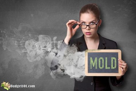 Get Rid Of Mold Smell, Mold Smell, Clean Your Oven, Tooth Repair, Hyperbaric Oxygen Therapy, Mold Exposure, Toxic Mold, Dishwasher Tablets, Oxygen Therapy