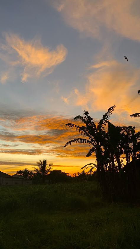 Dusk Landscape, Sunset Quotes Instagram, Sky Photography Nature, Scenery Pictures, Sky Pictures, Shadow Pictures, Pretty Landscapes, Sunset Nature, Orange Tree