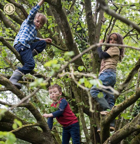 Children love to climb trees - they appear to be magnetically pulled upwards when they discover a branch beckoning up to them. Happily, it is really good for them!  Climbing trees helps children develop physical strength, gross motor-skills, an enhanced vestibular sense, focus, confidence and resilience. Climb A Tree, Climbing Trees, Canadian Wildlife, Kids Climbing, Group Poses, Climb Trees, Forest School, Human Poses Reference, Body Poses