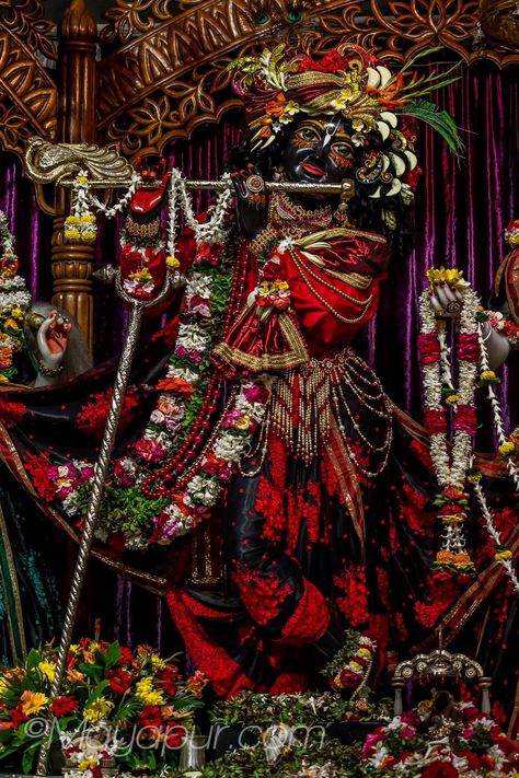 Iscon Temple Radha Krishna Hd, Iscon Temple Radha Krishna, Photos Of Lord Krishna, Iskcon Mayapur, Vrindavan Photography Pictures, Lord Durga, Iskcon Krishna, Monochrome Painting, Krishna Avatar