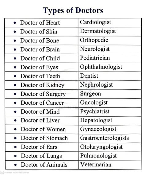 Types of Doctors. Very useful for all. 🔁❤ #dailymore24 #DAILYMORE Types Of Doctors, Learn Biology, Nurse Study Notes, Basic Anatomy And Physiology, Nursing Student Tips, Biology Facts, Medical Student Study, Study Flashcards, Doctors Note