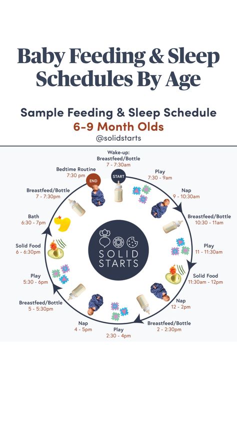 Sample Feeding & Sleep Schedule for Babies