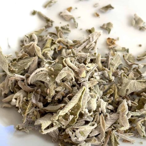 Sage Herbal Tea Recipe Benefits and Uses - Life is Better with Tea Sage Tea Recipe, Sage Tea, Herbal Therapy, Sage Plant, How To Dry Sage, Herbal Teas Recipes, Aromatic Plant, Herbal Recipes, Hair Upstyles