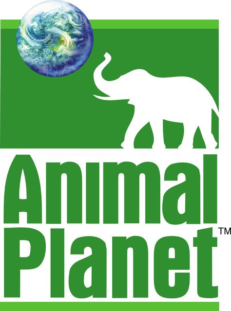 Planet Video, Planet Vector, Planet Logo, Planet Signs, Elephant Logo, All About Animals, White Elephant, Animal Logo, Animal Planet