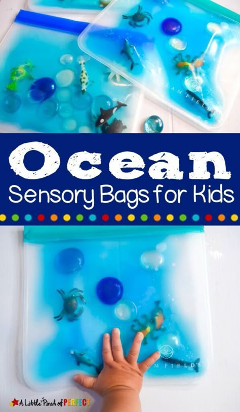 Ocean Sensory, Sensory Bag, Sensory Bags, Giant Bubbles, Baby Sensory Play, Ocean Activities, Sensory Ideas, Sensory Bottles, Baby Activity