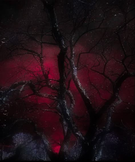 #redaesthetic #red #gothicaesthetic #gothic #darkaesthetic #darkaesthetics #darkcore #gothicvibe #forest #forestaesthetic #aesthetic #darkforest #darkforestaesthetic Red Southern Gothic Aesthetic, Dark Vampire Asethic, Gothic Vampire Aesthetic Wallpaper, Vampire Background Aesthetic, Red Aesthetic Vampire, Vampire Asethic, Dark Vampire Aesthetic Wallpaper, Vampire Goth Wallpaper, Witch Aesthetic Red