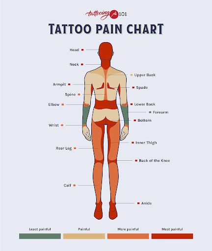 Tattoo Placement Shoulder, Tattooing 101, Tattoo Painful Chart, Back Tattoo Placements, Tattoo Chart, Courage Tattoos, Pain Chart, Tattoo Placement Arm, Quote Tattoos Placement