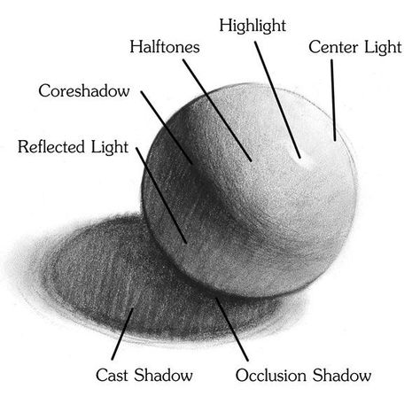 Pencil Shading Techniques, Studio Illustration, Types Of Pencils, Beginner Artist, Shading Drawing, Shadow Drawing, Pencil Drawing Tutorials, Art Basics, Shading Techniques