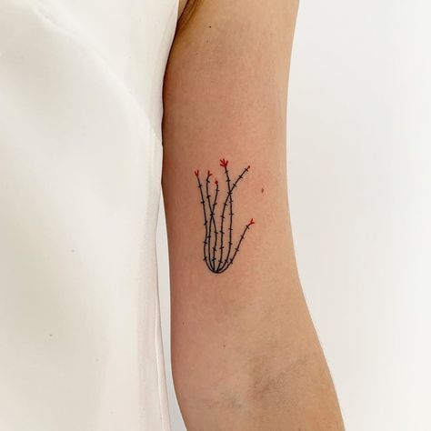 269 Likes, 9 Comments - michelle (@whatsheneversaid) on Instagram: “2.5 inch ~ ocotillo for hannah 🙏🏻 :] thanks! x x x #ocotillo #springbreak #marfatexas…” Desert Tattoos, Desert Tattoo, Cactus Tattoo, Sick Tattoo, 3 Tattoo, Plant Tattoo, Stick And Poke, School Tattoo, Hayley Williams