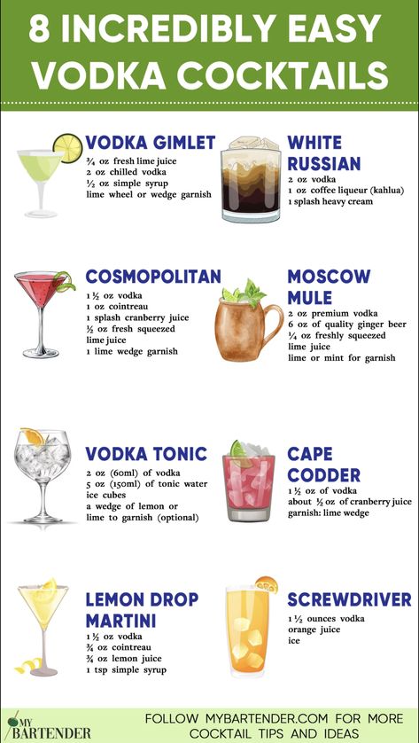 Easy Vodka Cocktails Classic Vodka Drinks, Best Mix Drinks Alcohol, Drinks Ideas Party, Simple Cocktails Vodka, Cheap Vodka Mixed Drinks, Simple Drinks With Vodka, Vodka Mixers Easy, Popular Vodka Cocktails, Easy Drinks Alcohol Recipes Vodka