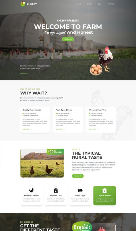 Poultry Farm Elementor Template Kit Farm Website Design, Bird Branding, Farm Websites, Innovation Illustration, Outline Typography, Organic Illustration, Farm Website, Website Branding Design, Ux Design Principles