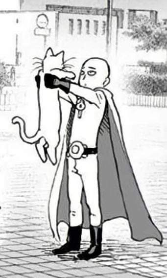 One Punch Man 3, Punch Manga, Caped Baldy, Holding A Cat, One Punch Man Saitama, Opm Manga, One Punch Man Funny, Tatsumaki One Punch Man, Saitama One Punch