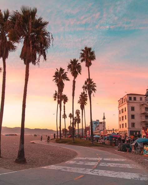 Pink sunset at Venice Beach, Los Angeles, California. #visitcalifornia #travel #wanderlust #california #losangeles #LA #westcoast #venice #venicebeach #santamonica #sunset California Dreaming, Venice Beach, Santa Monica, Los Angeles California, Summer Time, Cali, Palm Trees, Summer Vibes, Venice