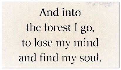 Into The Forest, Poem Quotes, New Energy, A Poem, Lose My Mind, Infp, Poetry Quotes, Quote Aesthetic, Pretty Words