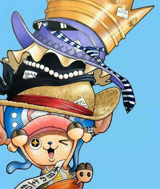 Tổng hợp những hình ảnh đẹp nhất One Piece | Happy birthday tony, One piece  anime, One piece chopper