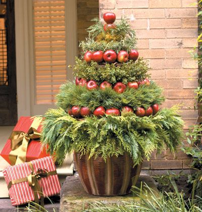 Christmas Topiary DIY made from Apples and Greenery in a pot on the front porch