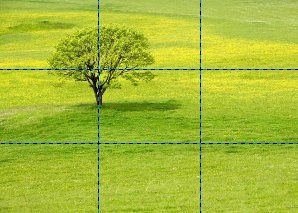 Beyond Automatic Rule Of Thirds Photography Rules Rule Of Thirds Composition Photography