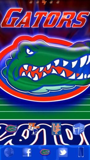 HD florida gators wallpapers  Peakpx