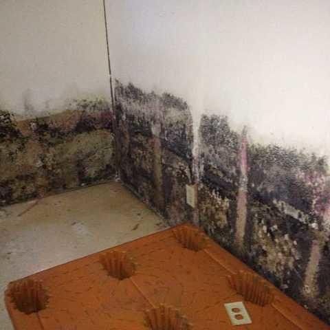 Basement Mold Roc Rochester Pittsfordny Fairportny Victorny Mold Moldremediation Waterproofing Mold Remover Rochester Damage Restoration [ 480 x 480 Pixel ]