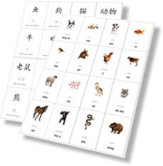 free flashcards learn mandarin chinese pinyin translation printable flash cards lessons english read at home