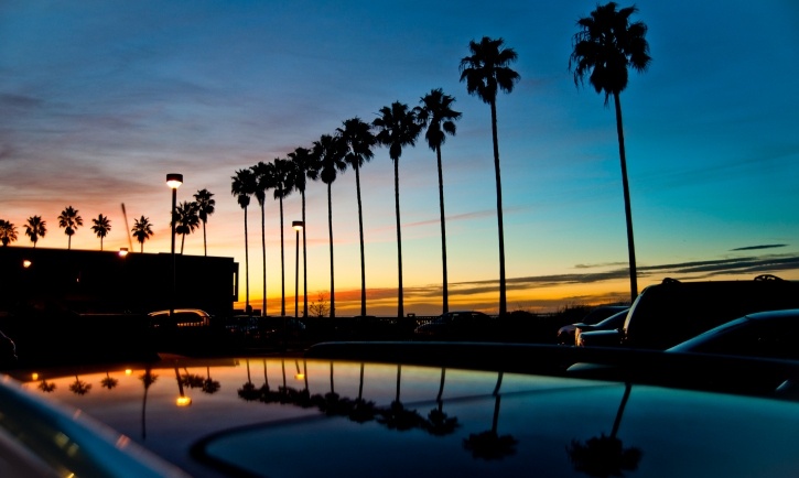 palm trees are reflected in the hood of a car as the sun sets behind them