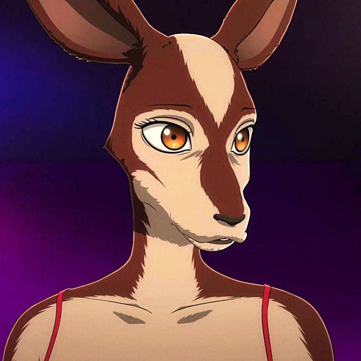 an animated kangaroo with big ears and orange eyes looks at the camera while standing in front of a purple background