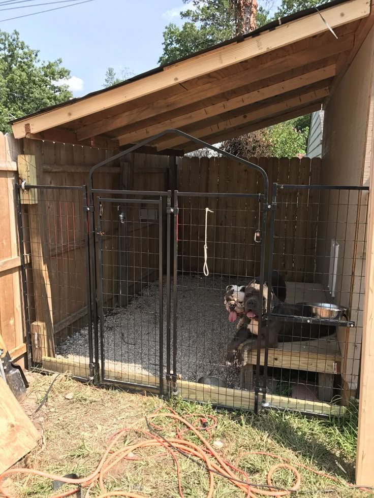 a dog is sitting in its kennel outside