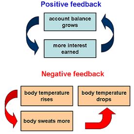 the negative effects of negative feedings on animals and birds are shown in this diagram