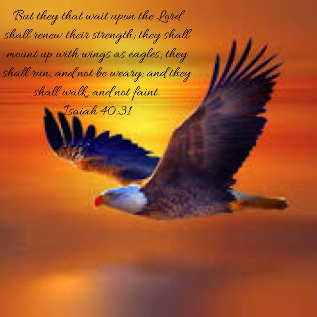 an eagle flying in the sky with a bible verse written on it's side