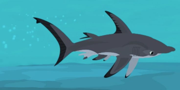 a cartoon shark swimming in the ocean