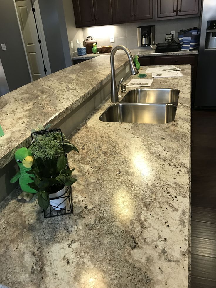 a kitchen counter top with a sink and potted plant on it's side