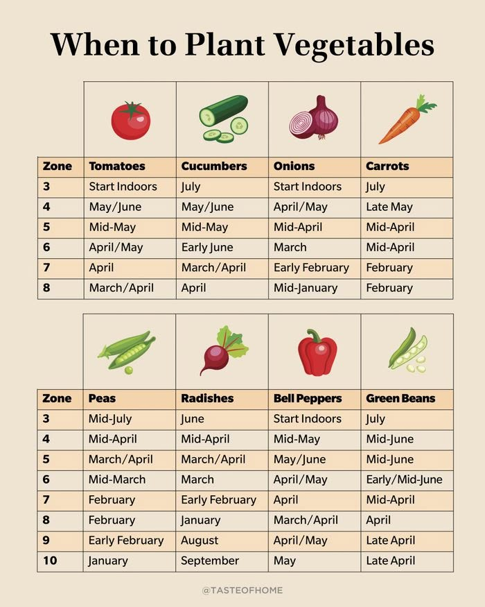 Planting Calendar: When to Plant These Popular Vegetables | When to ...