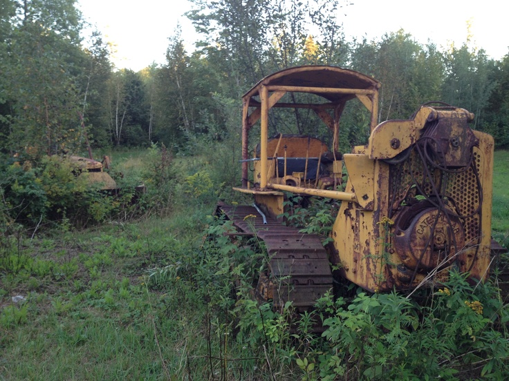 an old yellow bulldozer sitting in the middle of a field with weeds growing around it