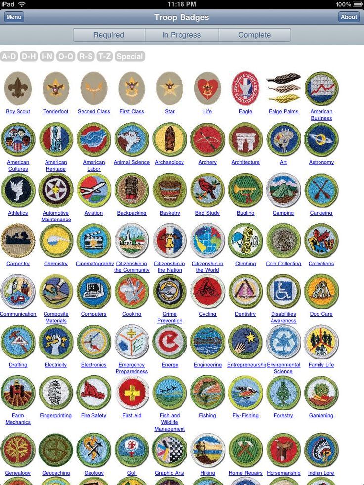 Printable List Of Merit Badges 2021 - Printable Templates Web2