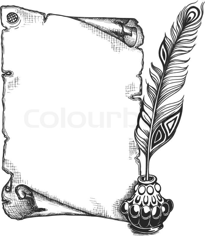 an ink drawing of a feather quill and paper scroll with a pen on it