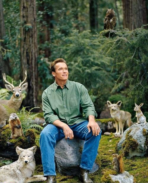 a man sitting on top of a rock next to some deer in the woods with caption that reads, that feeling you get after you floss