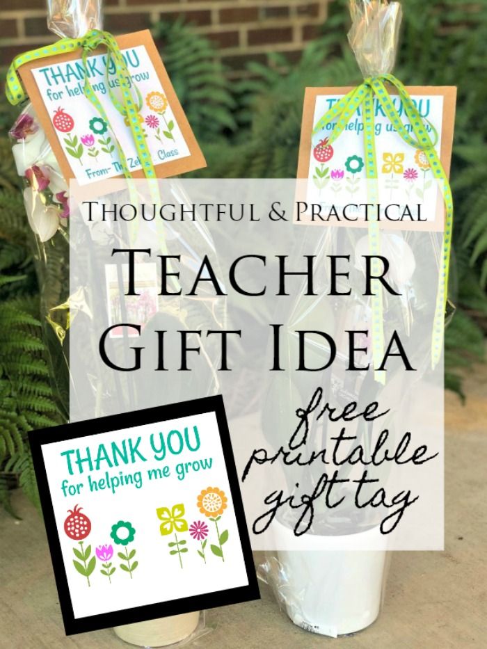 Thoughtful and Practical Teacher Gift - Thank You For Helping Me Grow ...