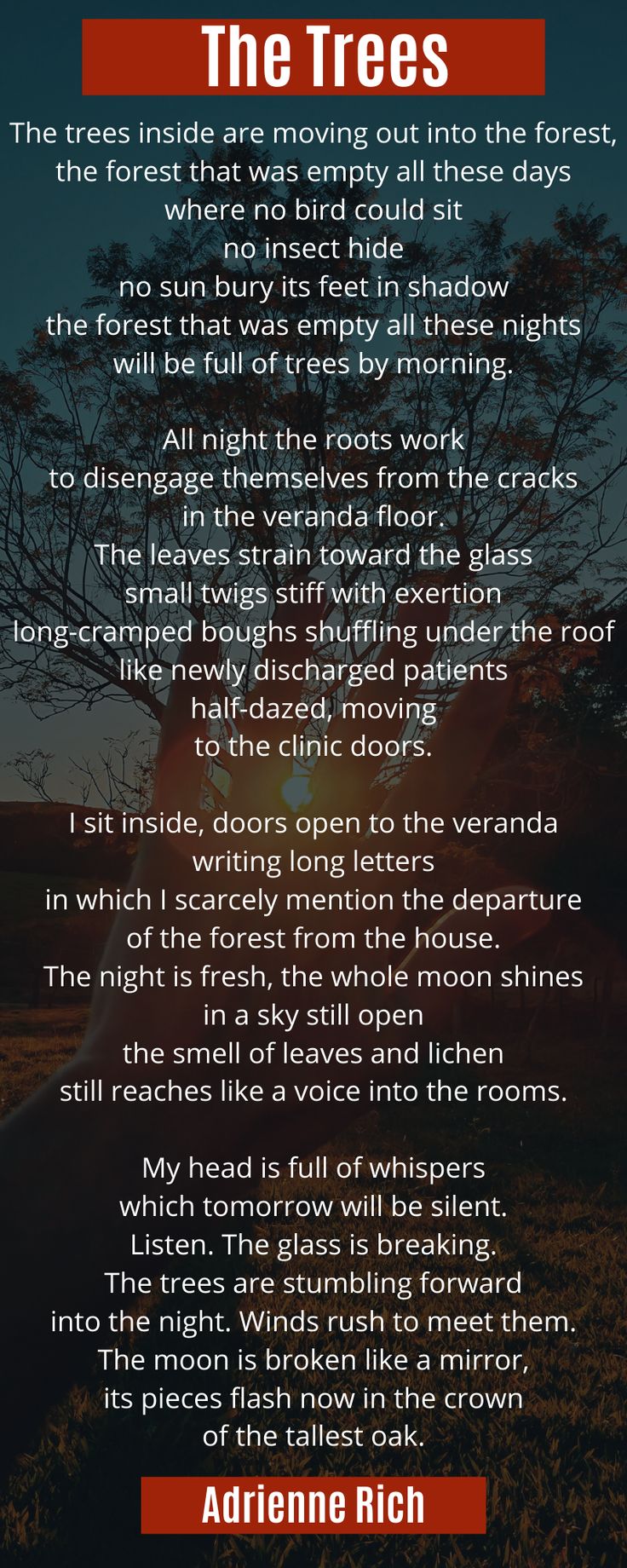 the trees poem by adrienne rich