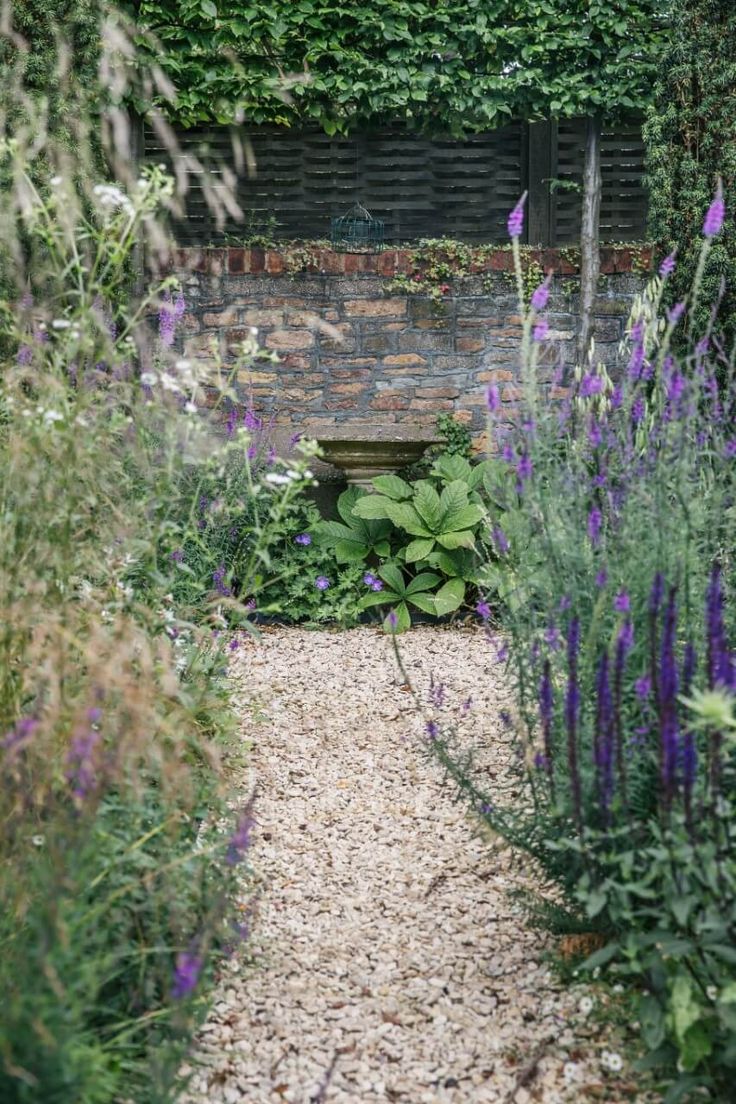 a garden with lots of purple flowers and greenery on the side of the building