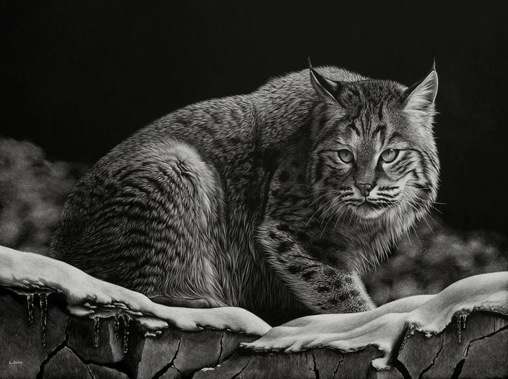 a black and white photo of a cat sitting on top of a stone wall covered in snow