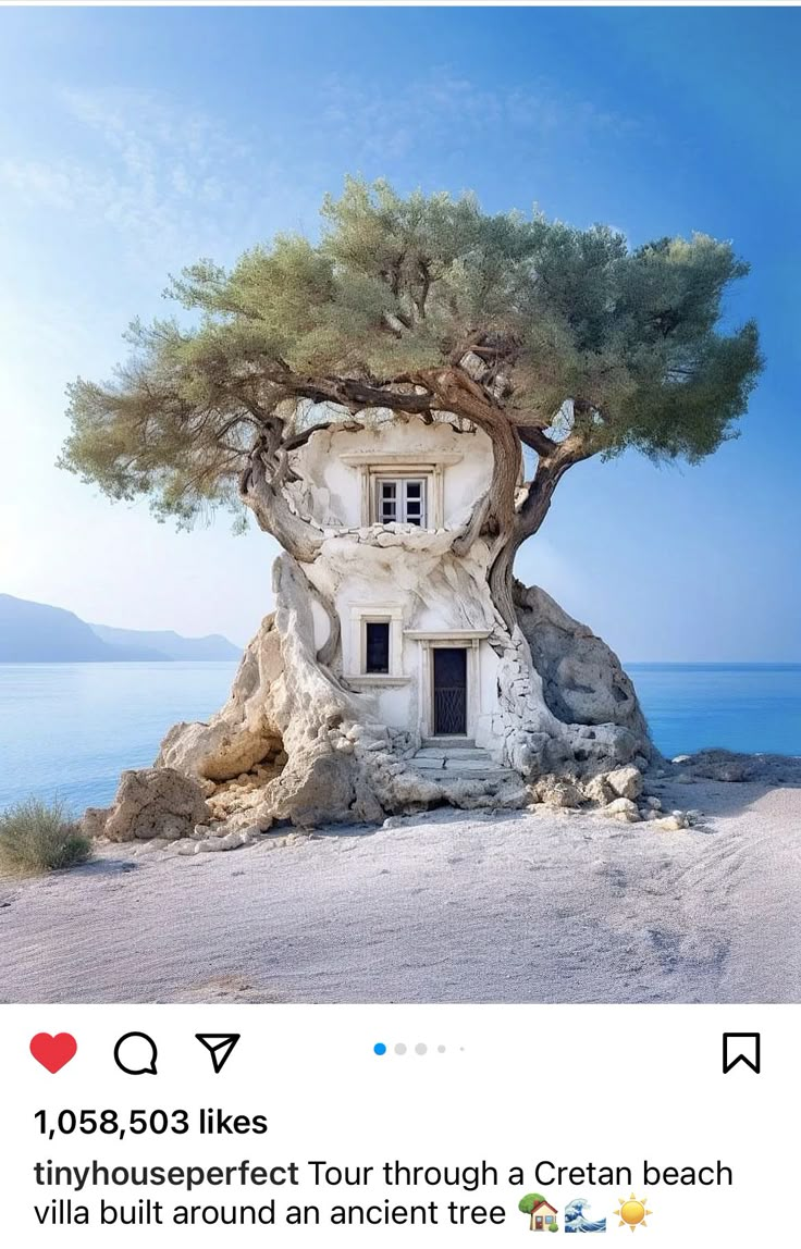 an unusual house built into the side of a cliff by the ocean with a tree growing out of it