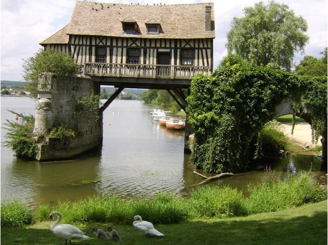 three birds are standing in the grass near water and a bridge with boats on it