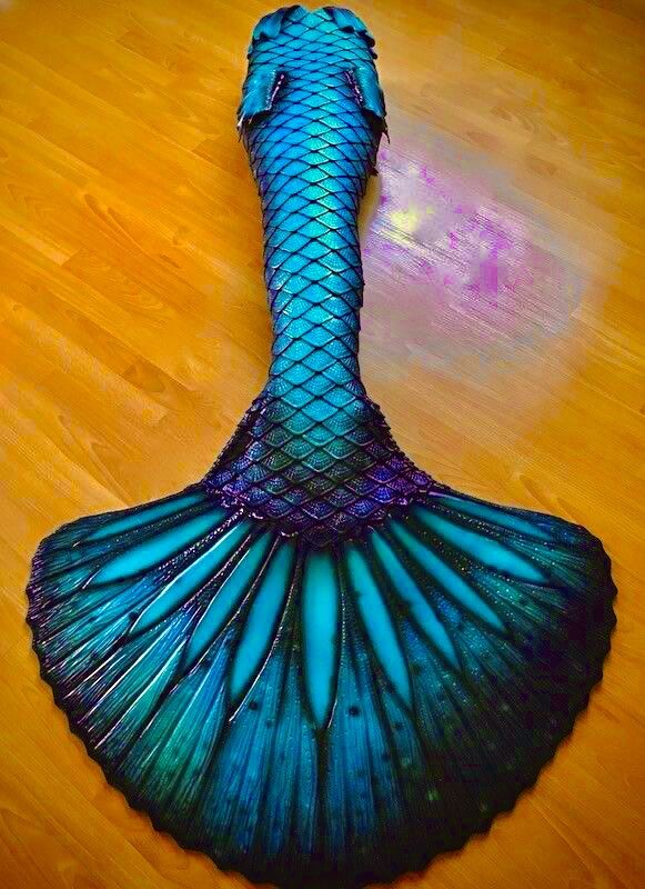 Pin by Melissa Antonucci on Antonucci mermaid tail designs | Finfolk ...