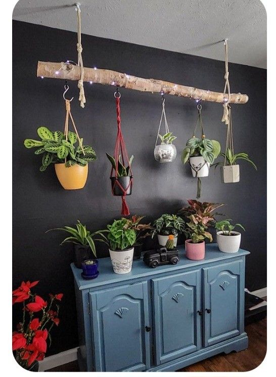 several potted plants are hanging on the wall next to a blue cabinet with two doors