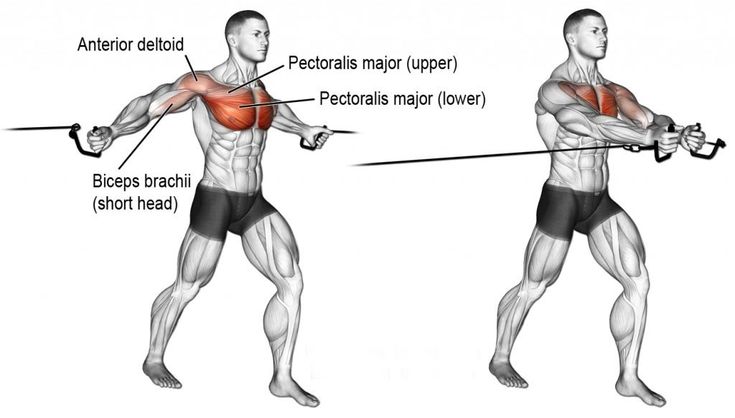 an image of a man doing exercises with barbells for back and shoulder muscles