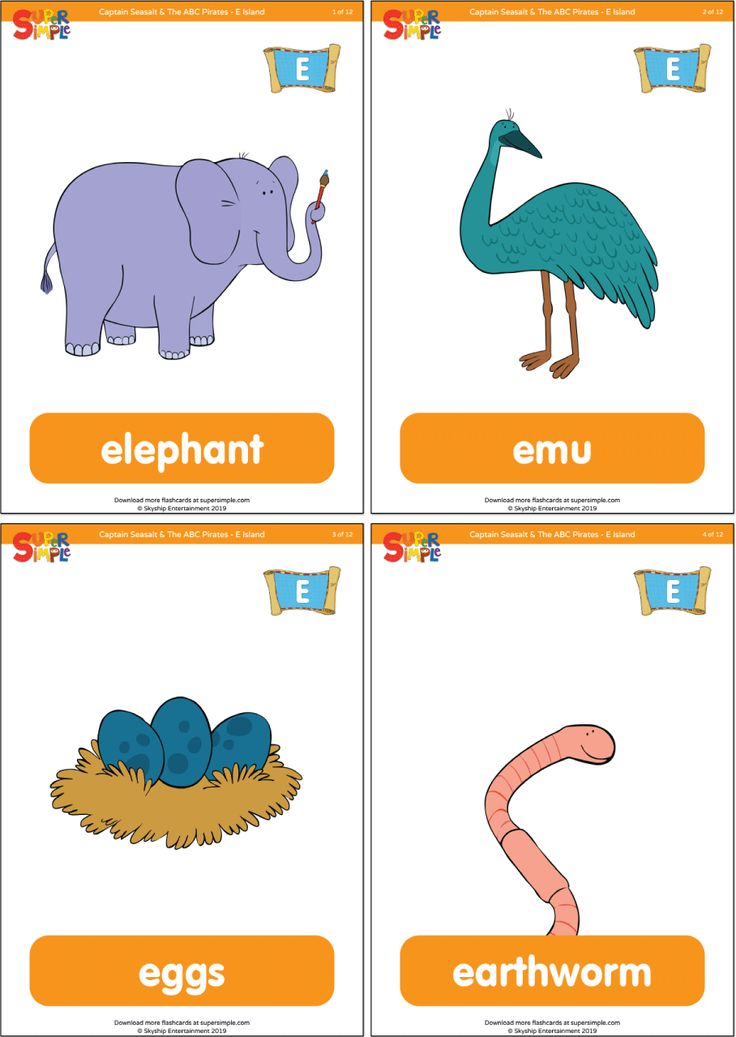 four different types of animals and birds with the letter e in each one's uppercase